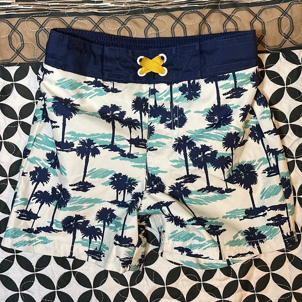Cat and Jack swim trunks